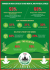 Infographic of the report