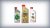 Motorcycle Oils